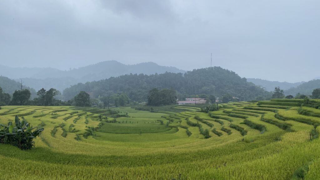 driver's license, ha giang, cao bang